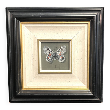 Pastel, butterfly drawing signed, 20th century frame
