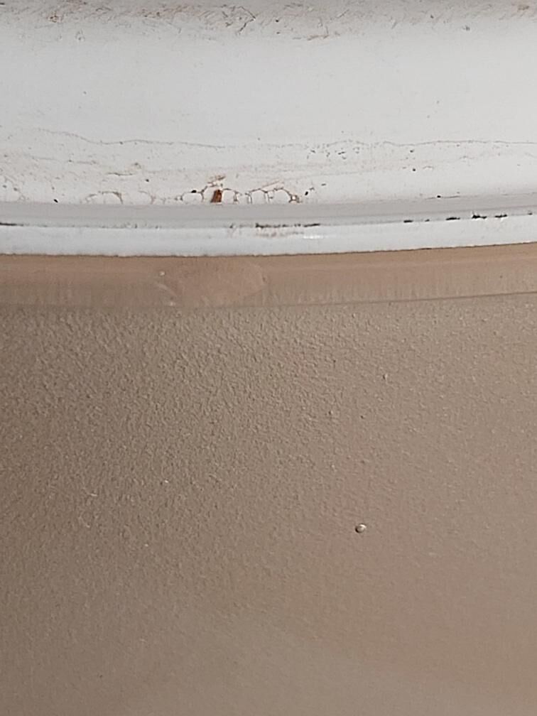 Artemide sconce Tibs Gismondi