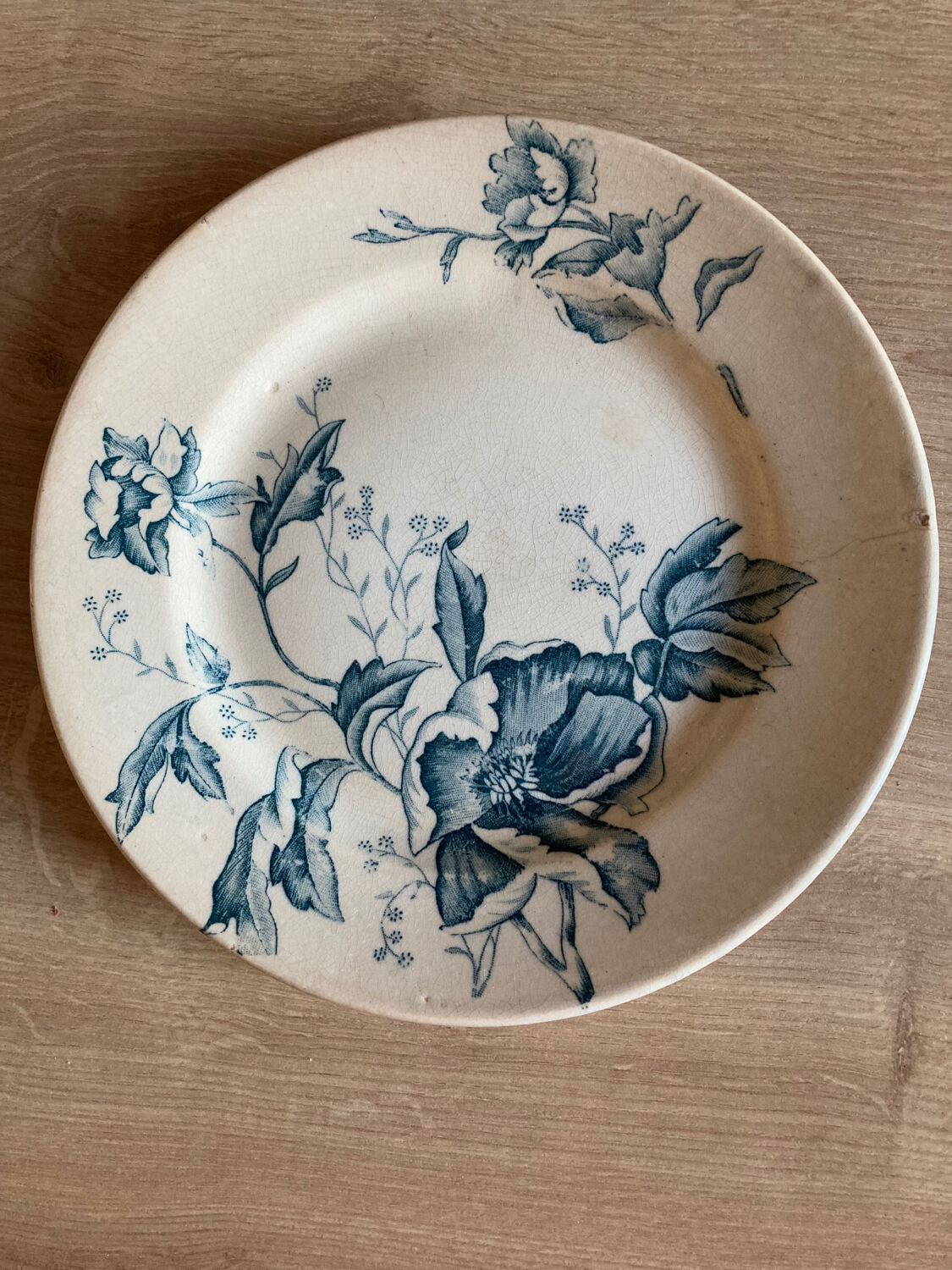 Assiette Terre de fer motif « Rose de Noël »