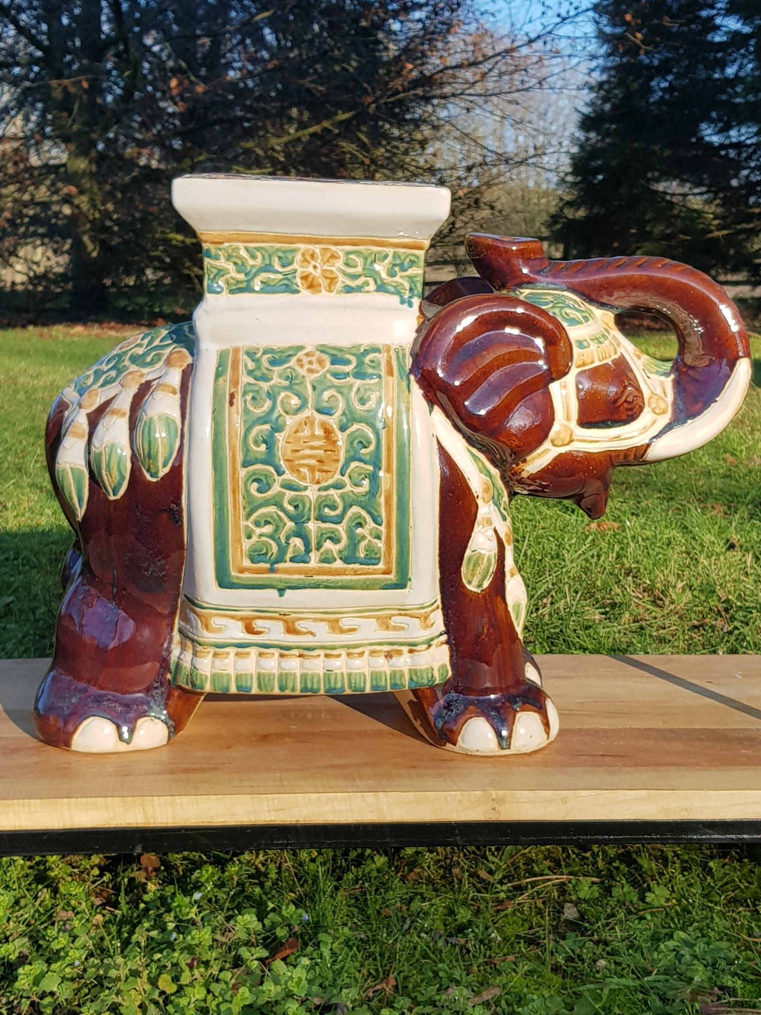 Support plant elephant