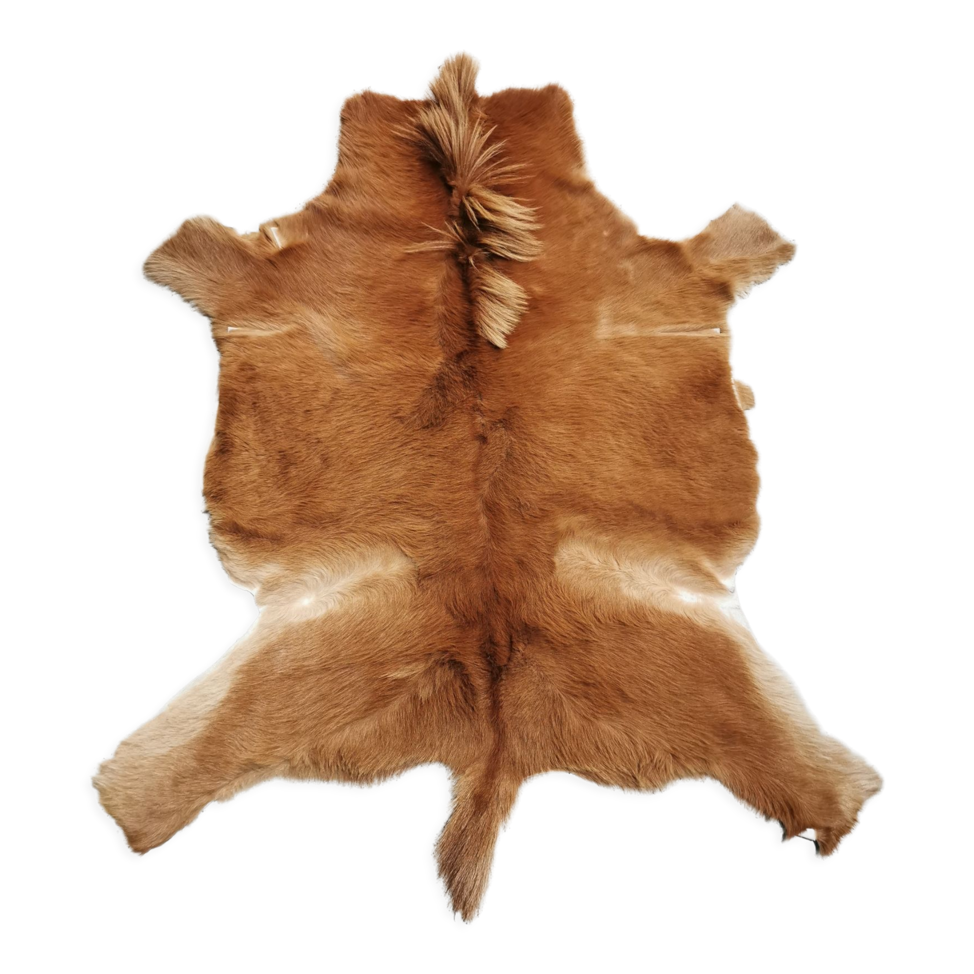 Vintage pony skin rug