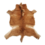 Vintage pony skin rug