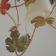 French Vintage Leaf Metal and Wood Hanging Light Textured Glass Shade