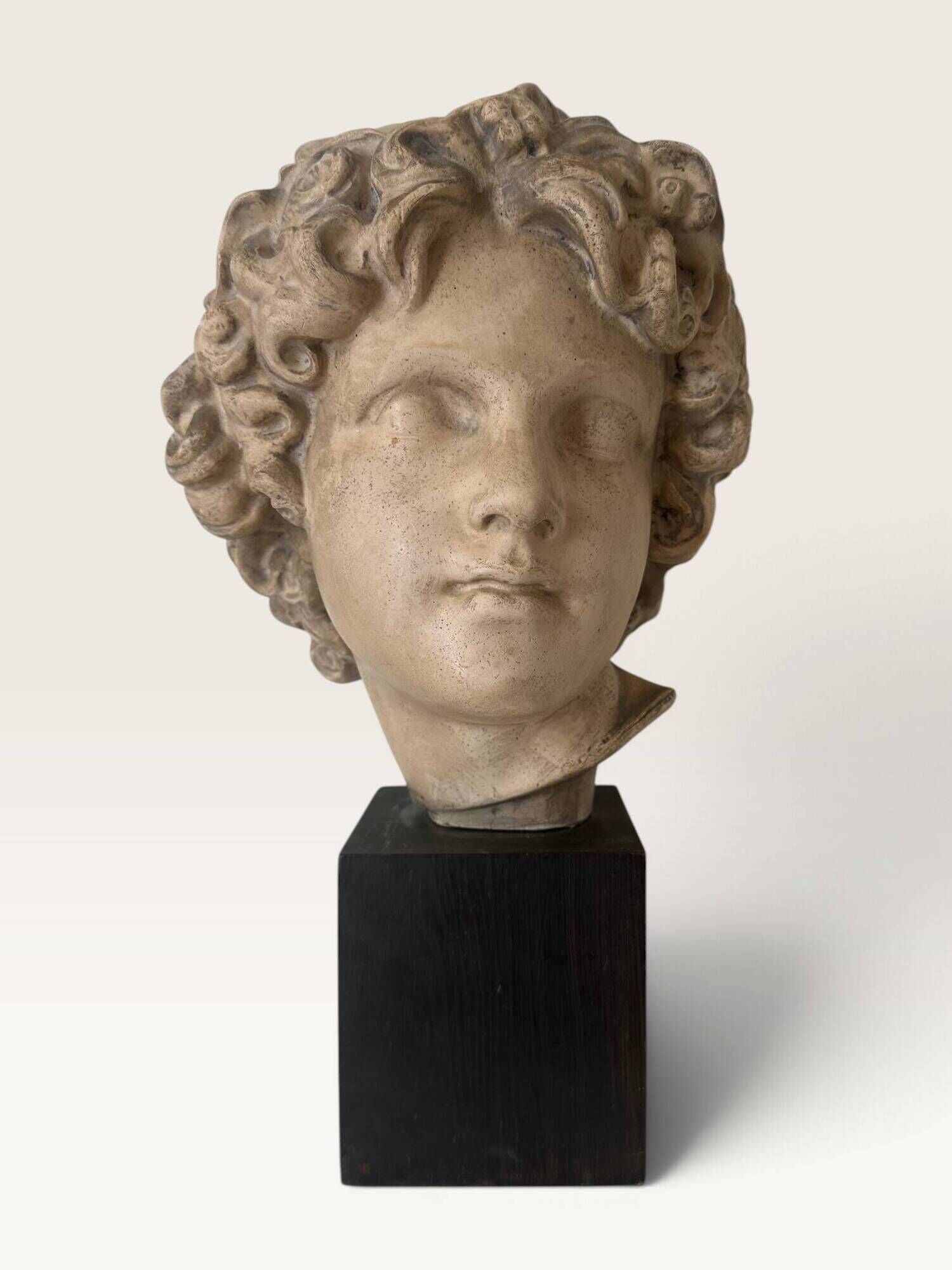 Plaster bust on a wooden base