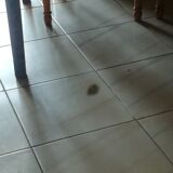 Classic-style gold mirror - 122x78cm