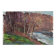 Jean Chaleyé, Sous-bois au bords de la Loire (vers 1910)