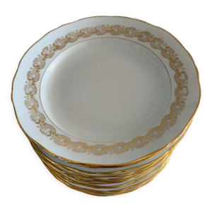 Lot de 12 assiettes porcelaine - berry