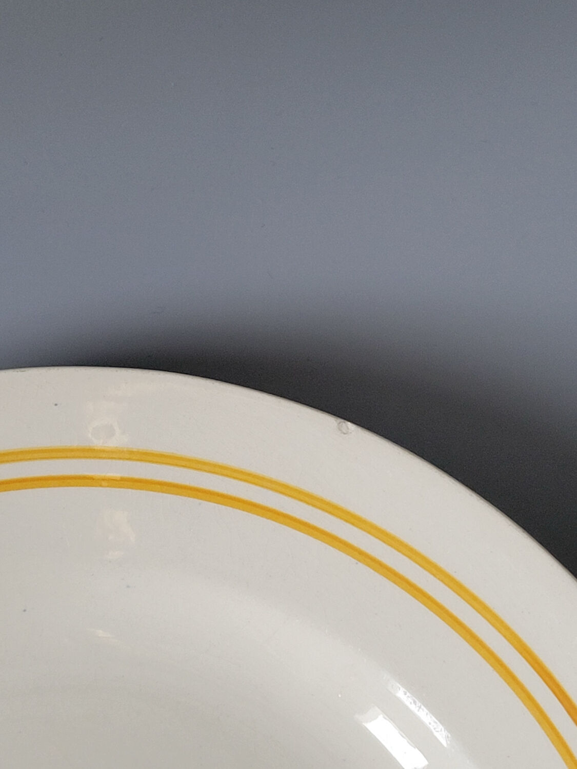 6 floral dinner plates