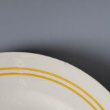 6 floral dinner plates