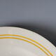 6 floral dinner plates