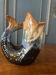 Carafe poisson