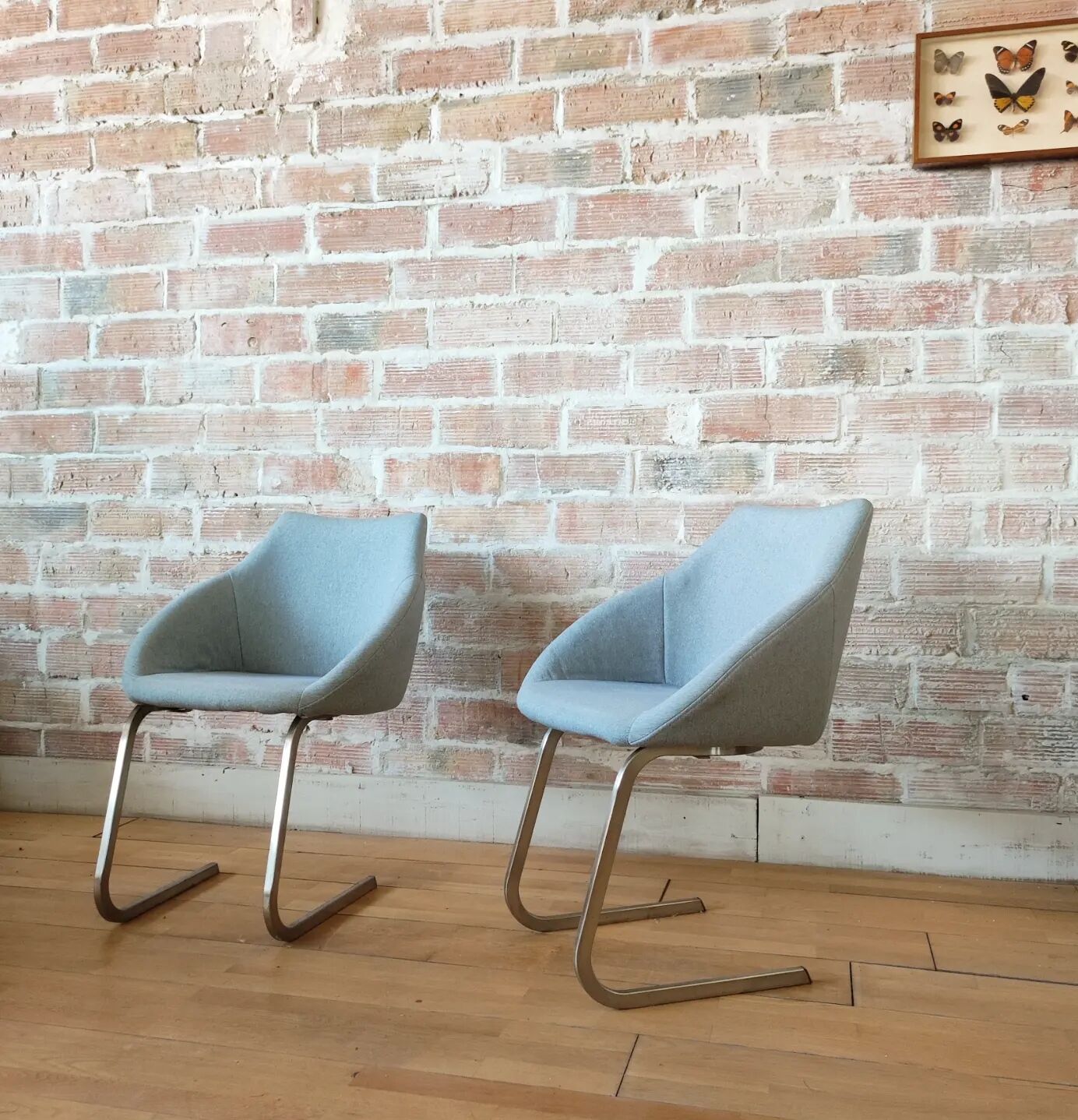 Design armchairs office / living room