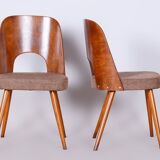 Set of Six Restored Mid-Century Modern Chairs, Beech, Czechia, 1950-1959