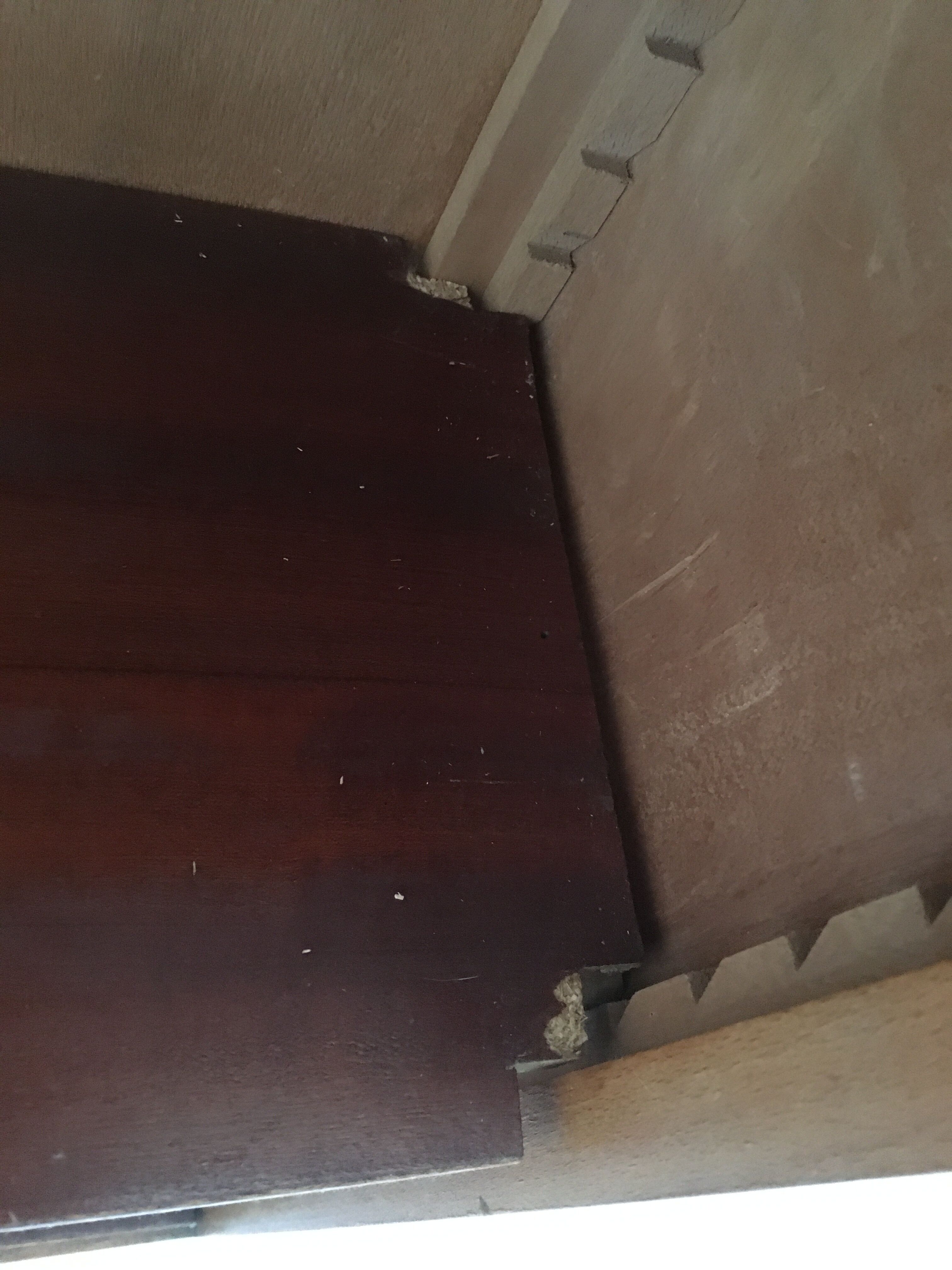 Small wooden library shelf