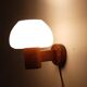 Vintage Danish wall lamp in teak and opaline 1960