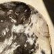Very large empty pocket or petrified wooden flat