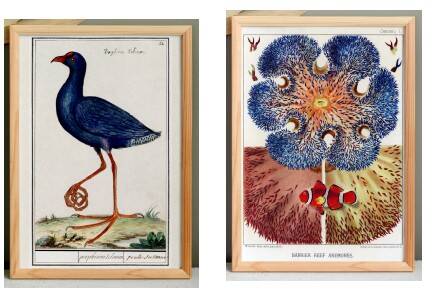 Set of 4 posters, based on engravings from 1610 and 1893
