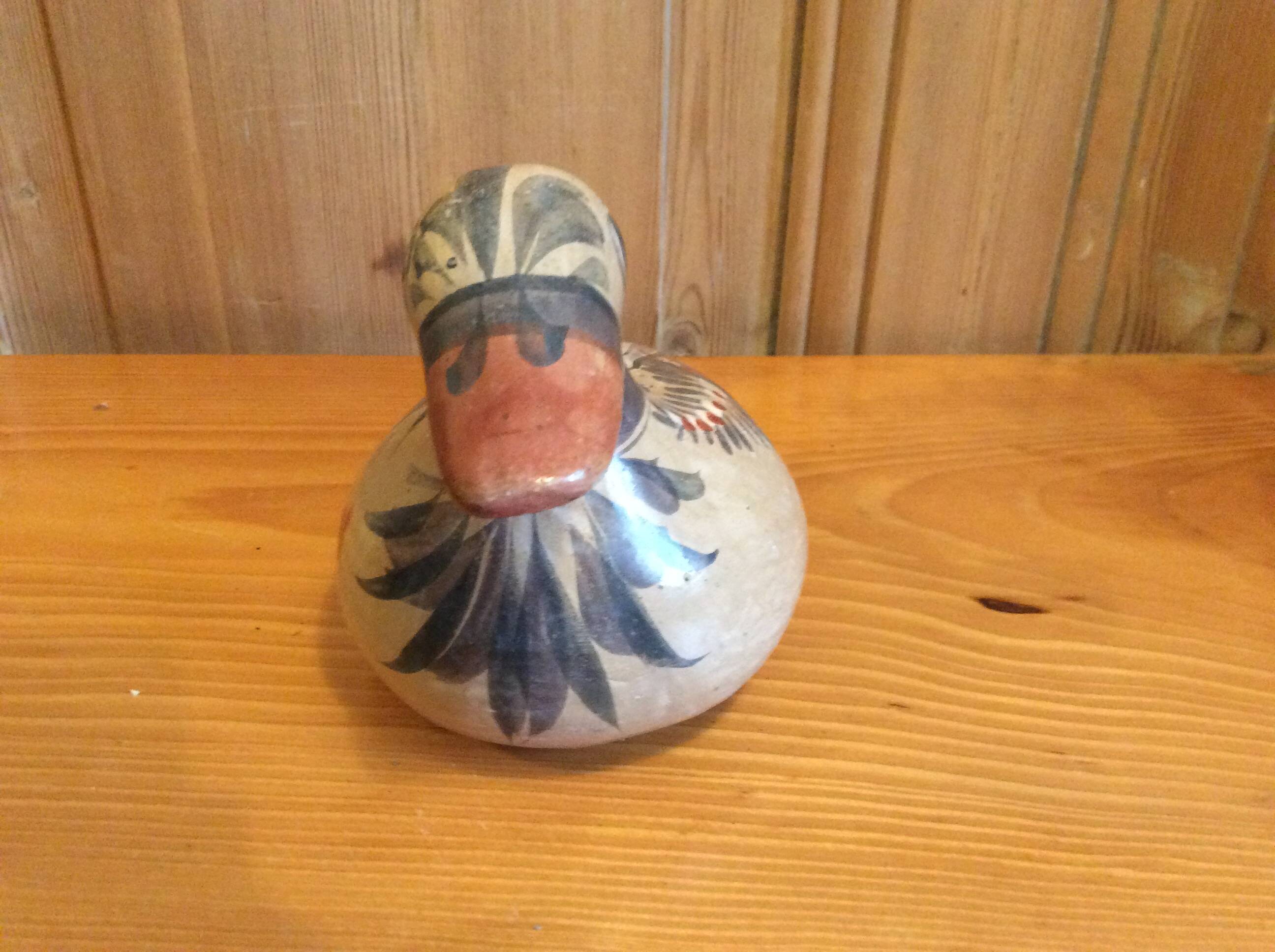 Mexico Duck