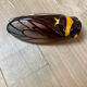 Vintage cicada