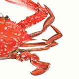 "Stella", the bowl, art print 21/29.7 cm