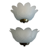 Pair of glass shell wall sconces with brass frames