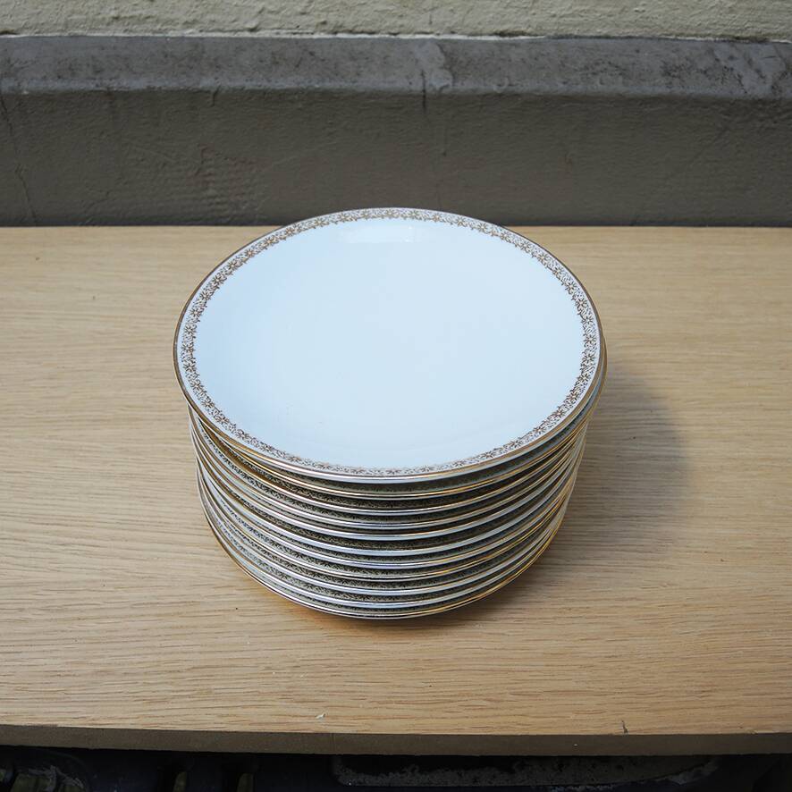 12 Antique Soup Plates - Rheinpfalz Hartporzellan Germany