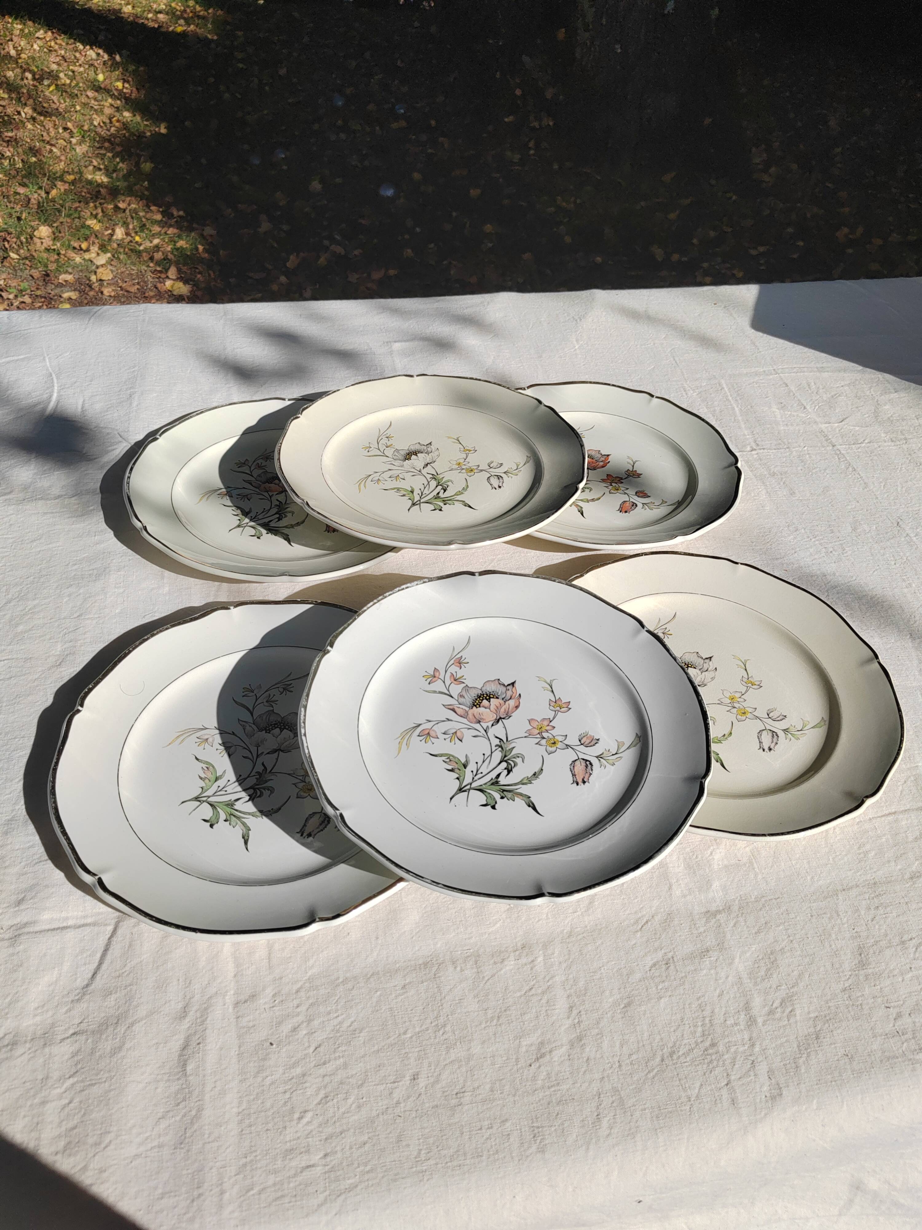 6 flat plates “Saverne” Saint Amand