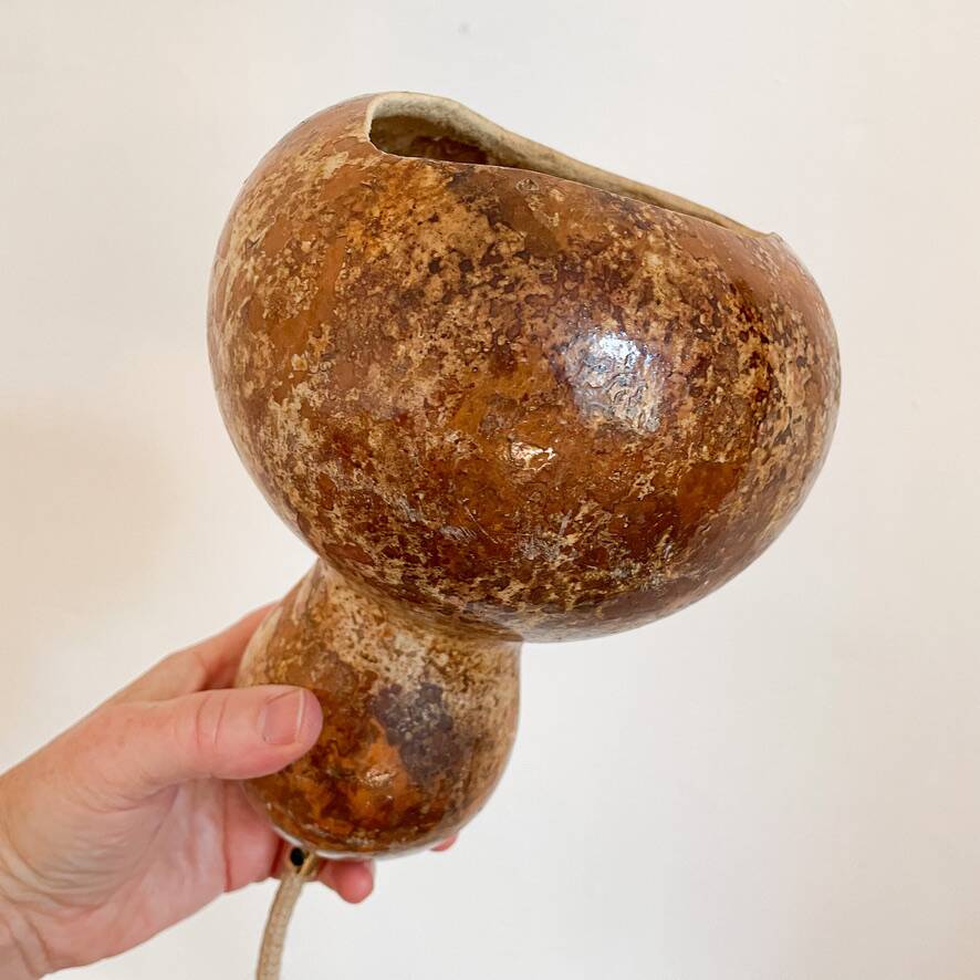 Calabash plant lamp