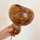 Calabash plant lamp