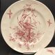2 ancient plates longchamp congo parrot antique french plate parrot