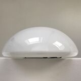 Large glass applique or ceiling light