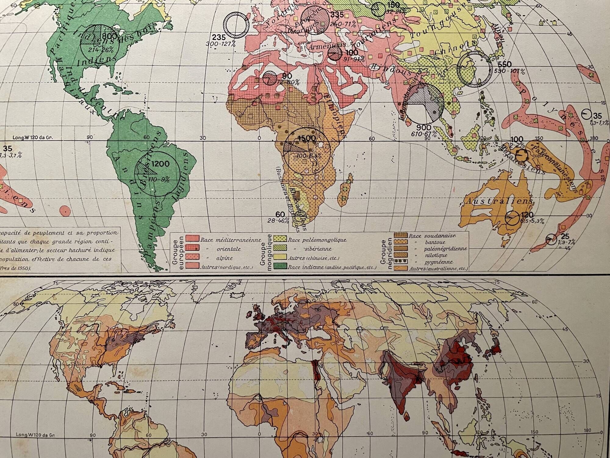 Map and photographic plate on human races from 1951