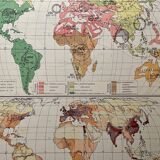 Map and photographic plate on human races from 1951
