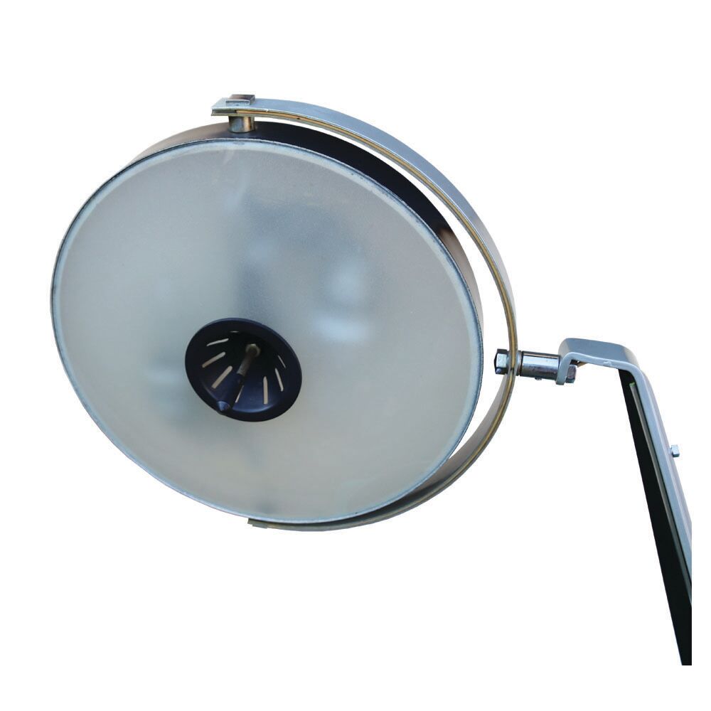 Lupela Ray/Cobra desk lamp from Fase Madrid, 1960s