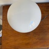Spring model lamp