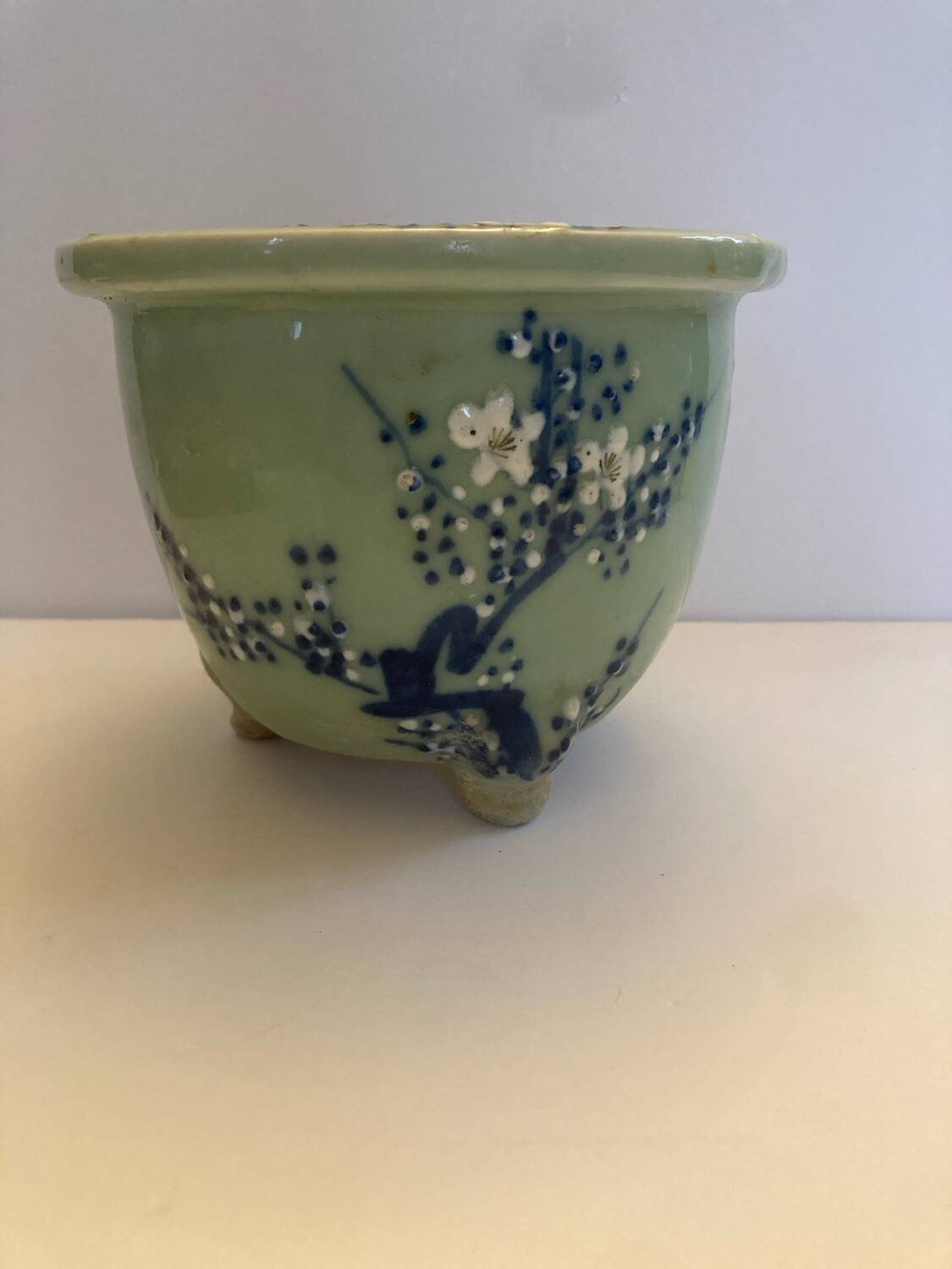 Cherry blossom flowerpot