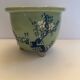Cherry blossom flowerpot