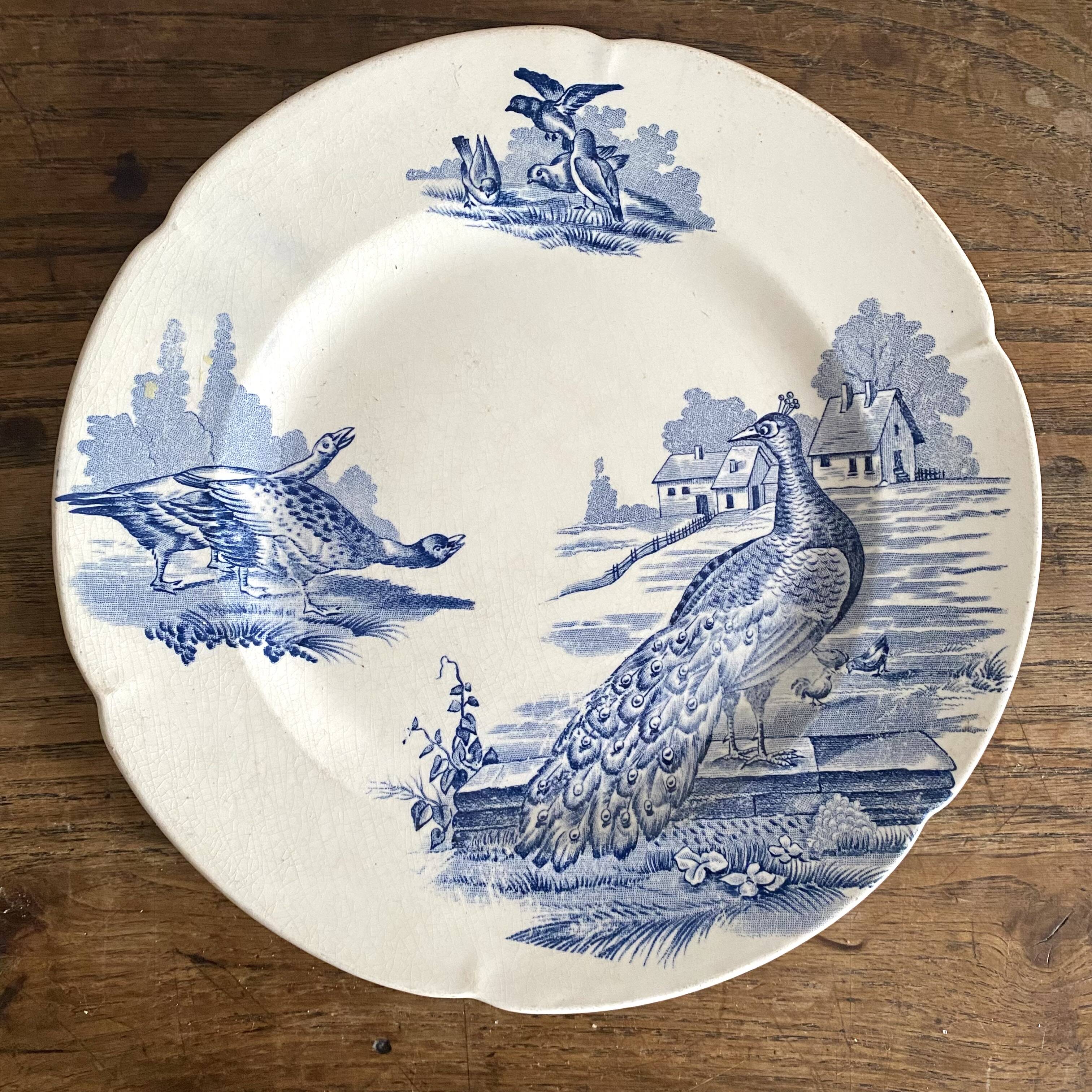 Assiette terre de fer "Rustic" paon