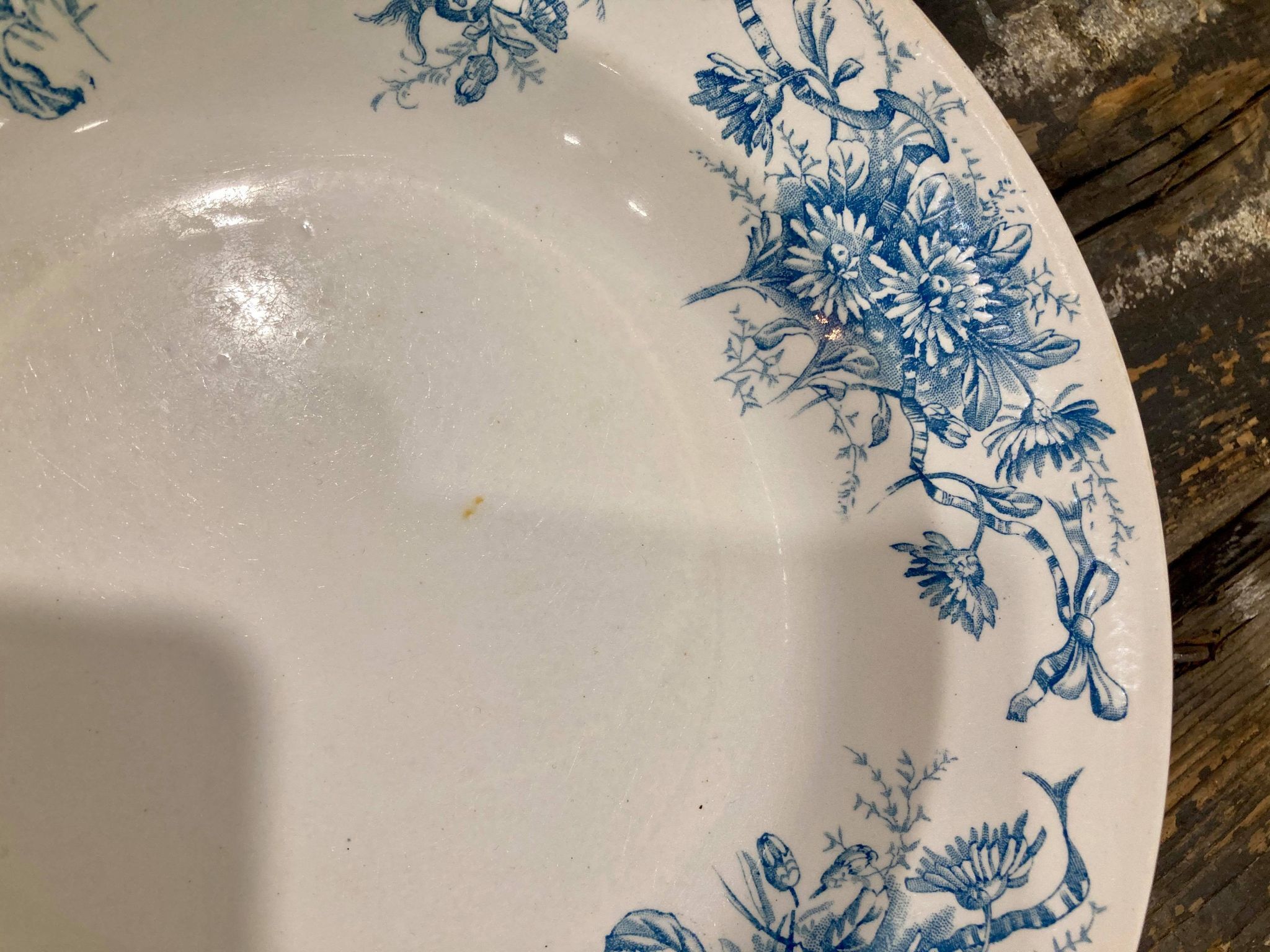 BFK plate Paquerette model