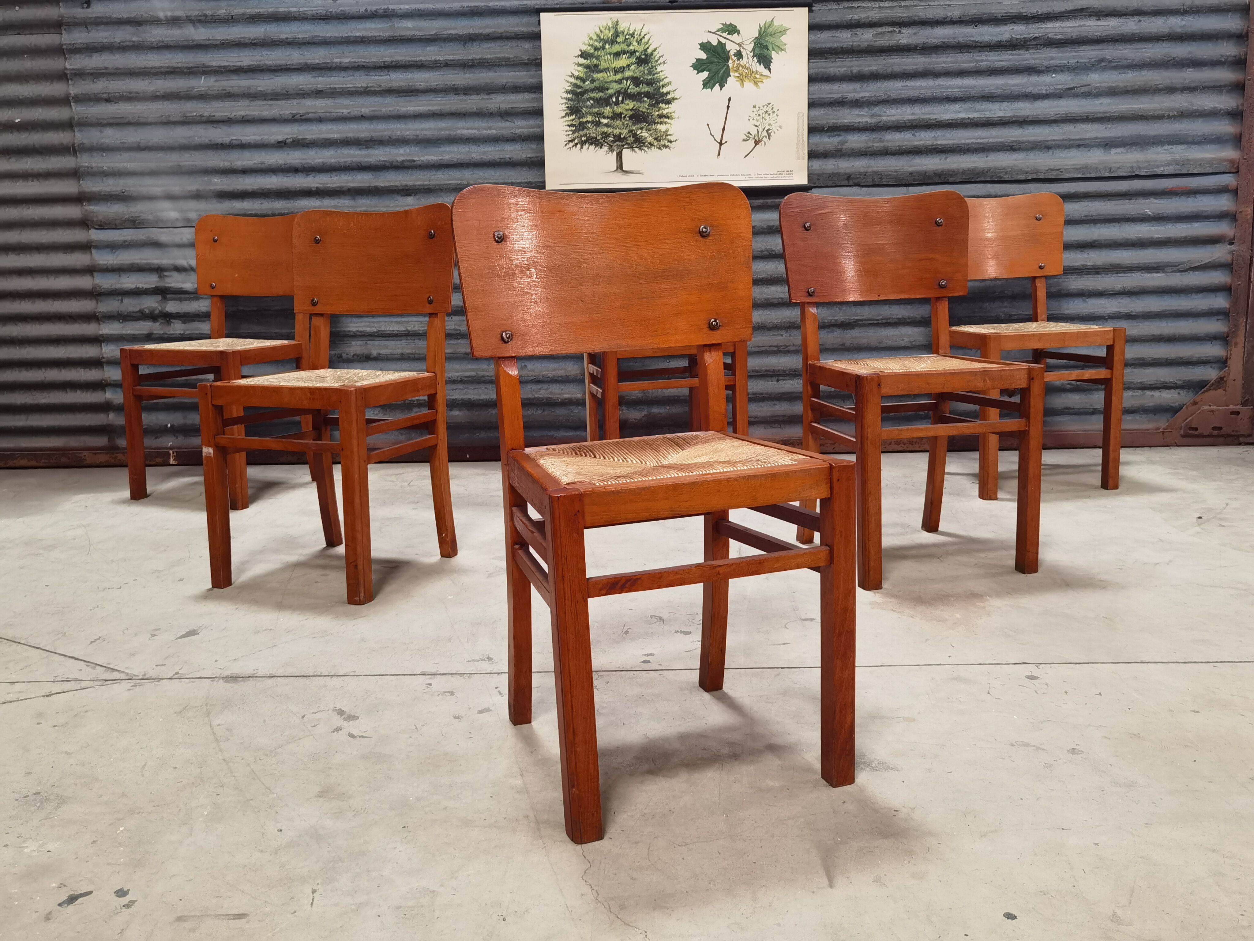 Set of 6 straw wood chairs 1950
