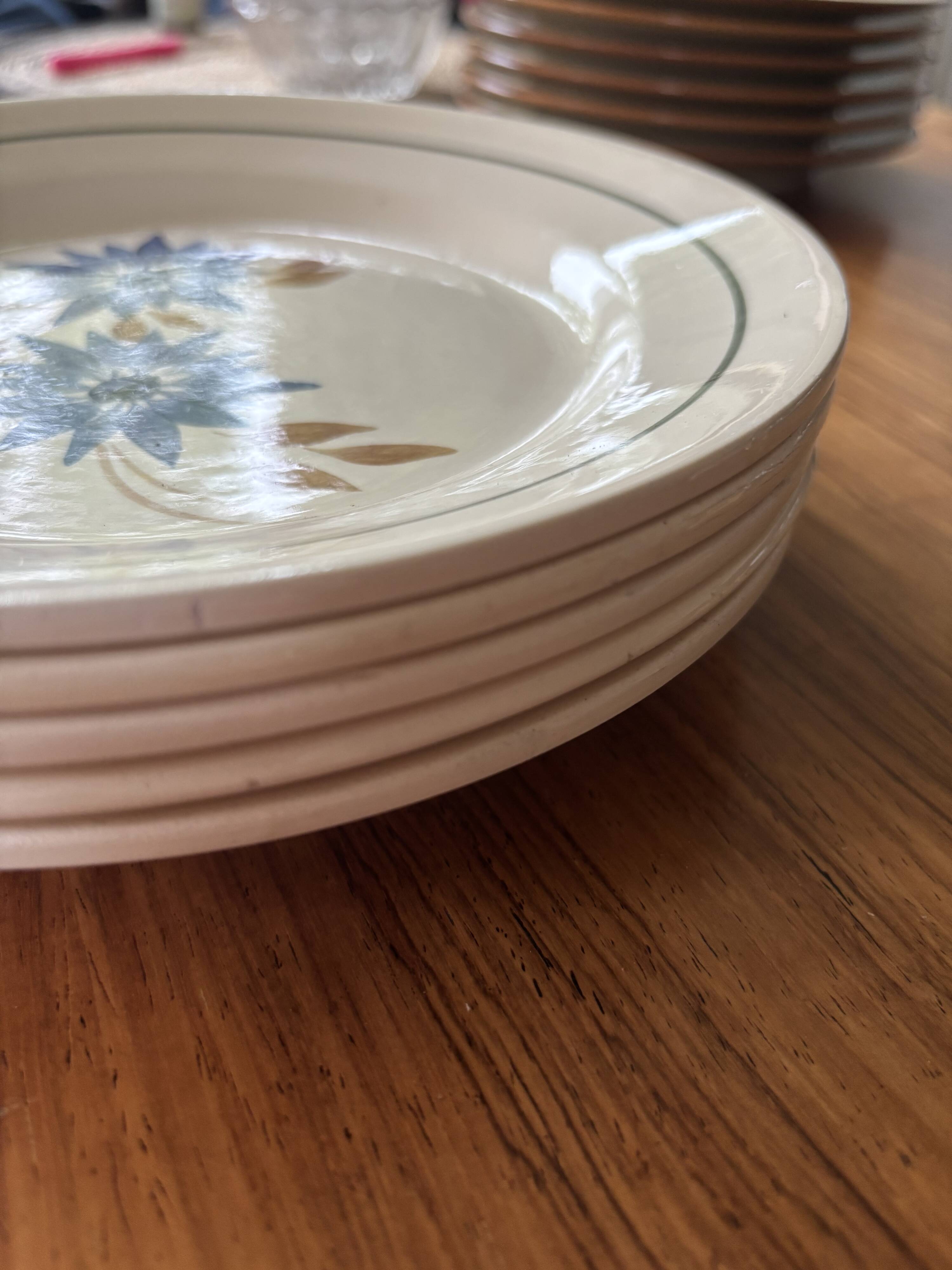 HBCM Terre de fer 1930 dinner plates