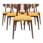 Scandinavian dining chairs set of 6 moutarde bouclé 