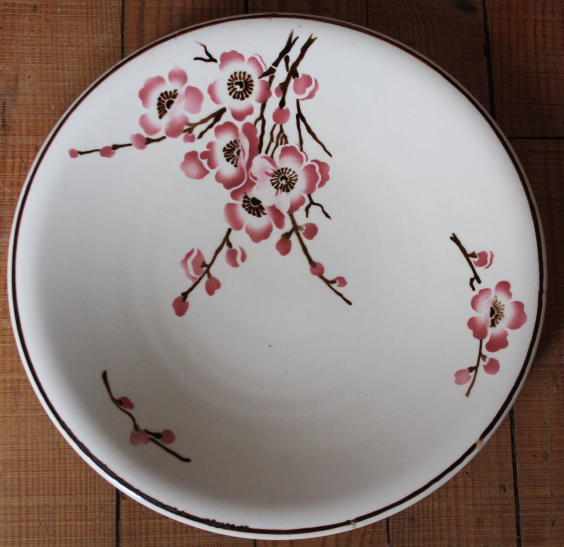 set of 2 dishes/large plates St Amand Terre de Fer "cherry"