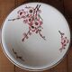 set of 2 dishes/large plates St Amand Terre de Fer "cherry"
