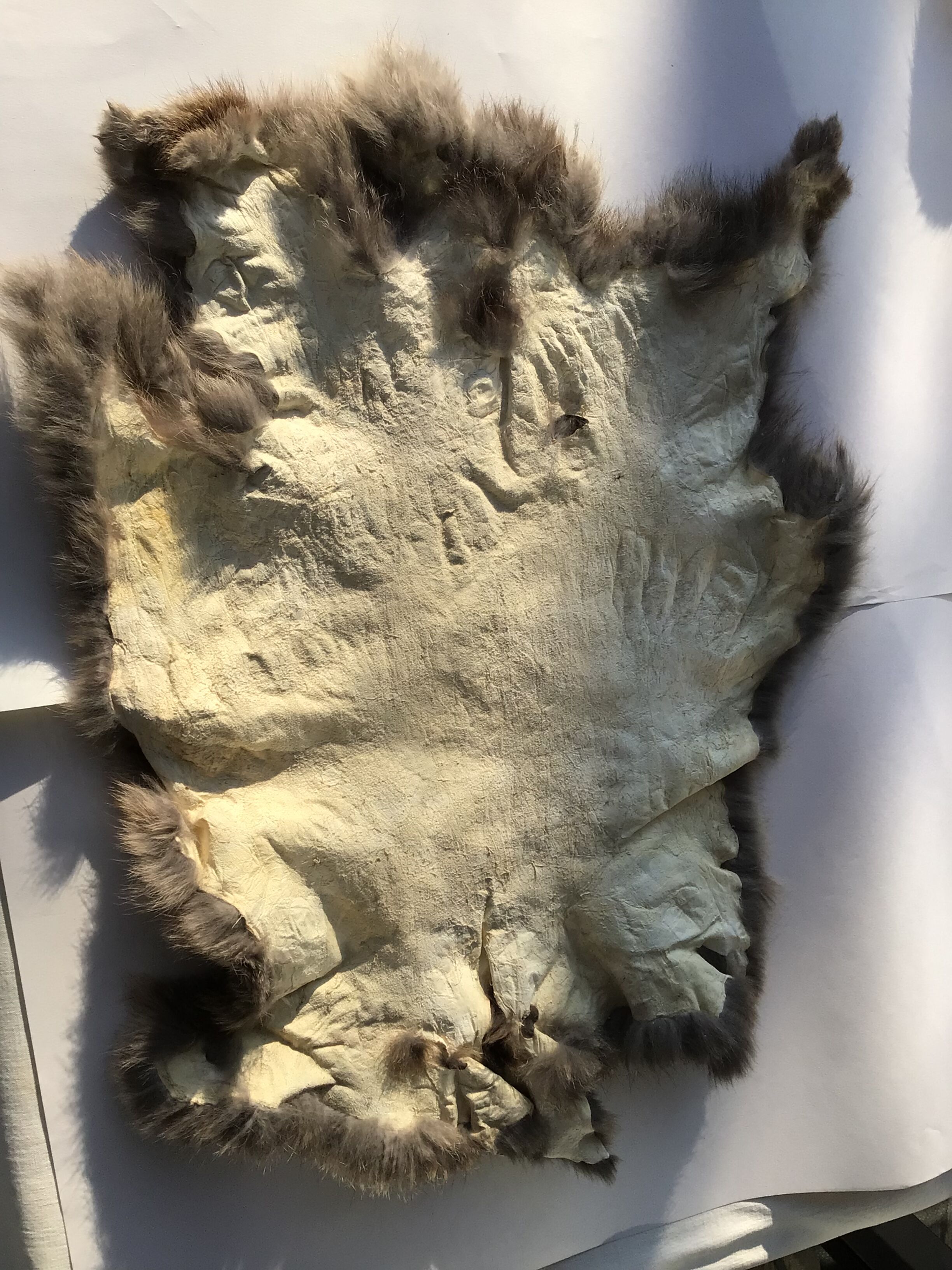 Rabbit skin brown taupe