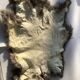 Rabbit skin brown taupe