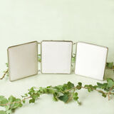 Mirror  triptych 21 X 68cm