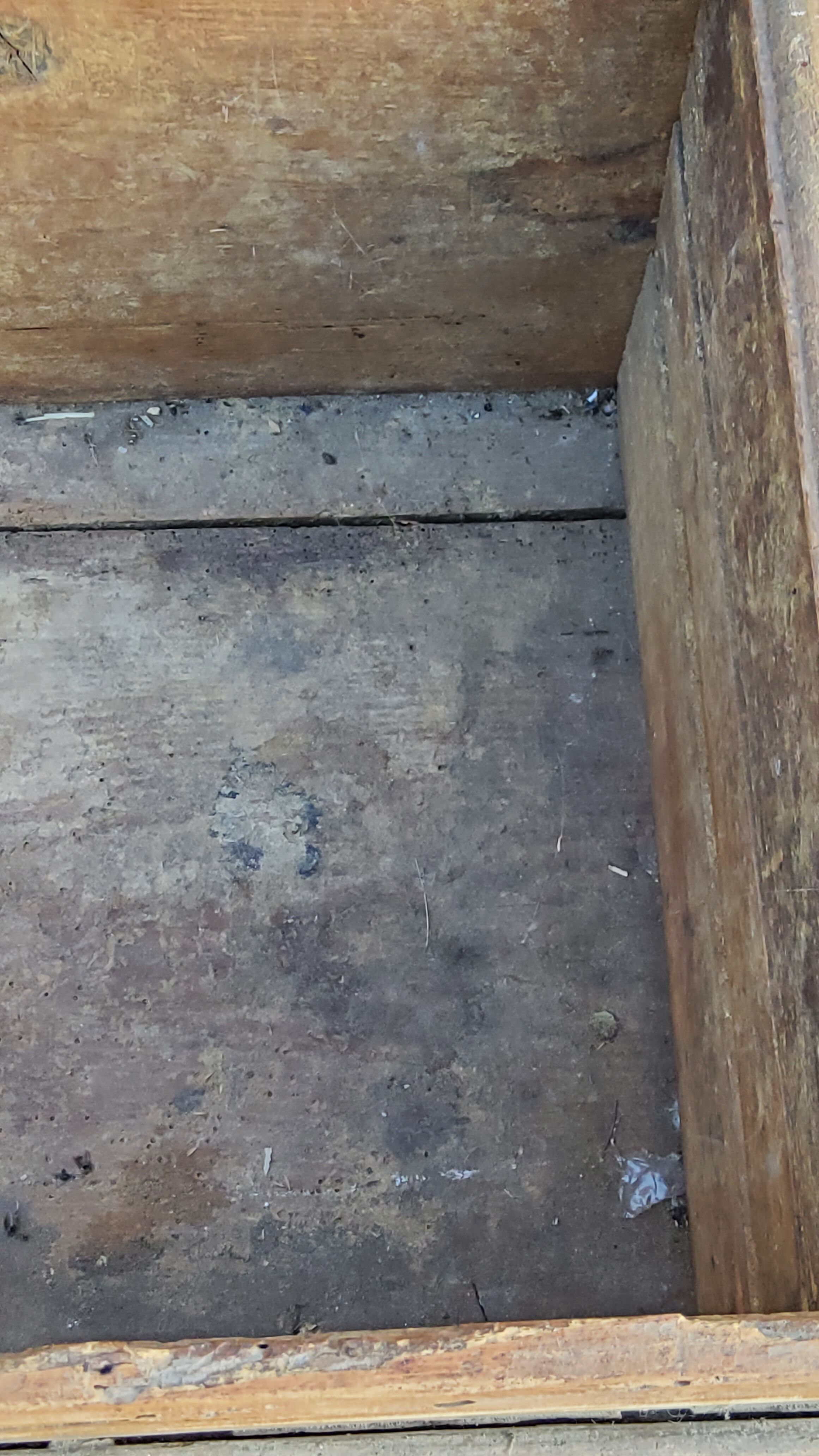 Alsatian polychrome wedding chest eighteenth -nineteenth century