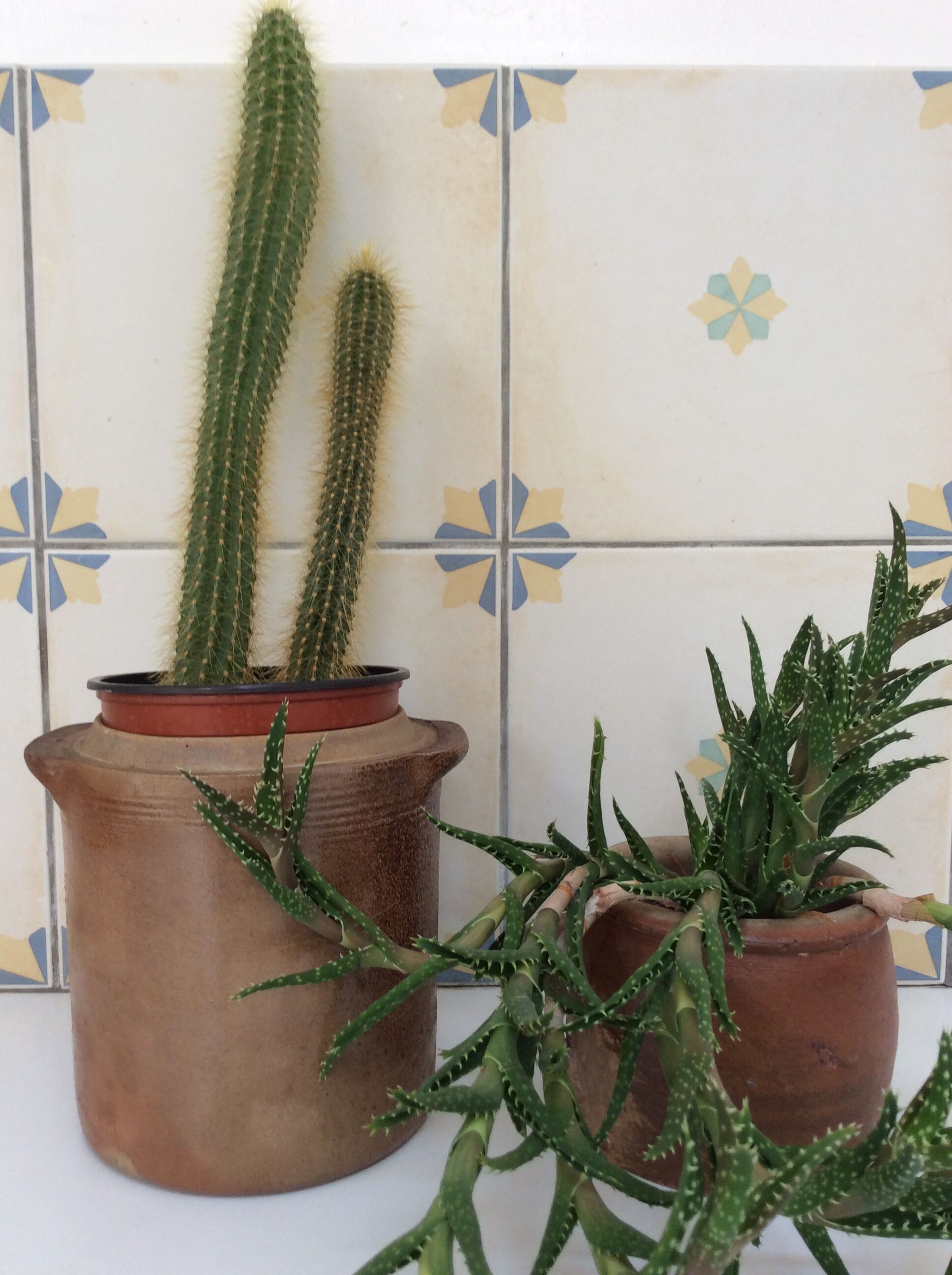 Old charentais stoneware pot with lid
