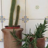 Old charentais stoneware pot with lid